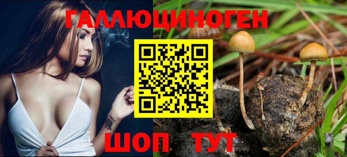 Псилоцибиновые грибы ЛСД  Вход с VPN  Южноуральск 